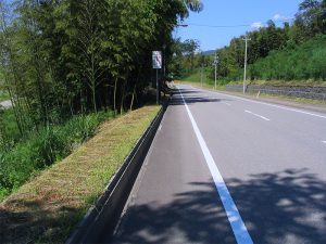 ふるさと農道山川